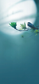 立春海报     二十四节气 