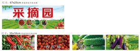 采摘园