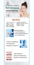 千语星缘 减肥 健康