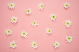 花朵图案