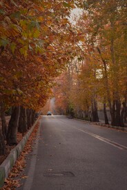 路边风景