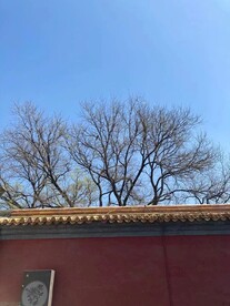 出墙