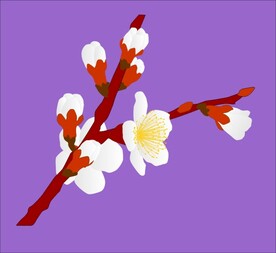 花草  植物  矢量图