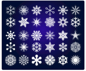 矢量雪花图标素材