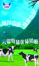 草地背景