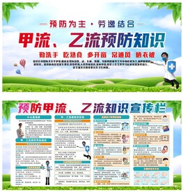 甲流乙流