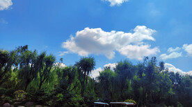 公园风景