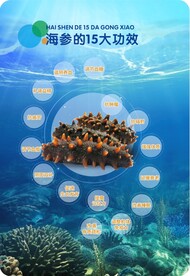海参15大功效