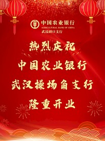 开业背景  银行