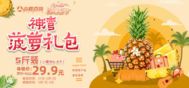 菠萝海报