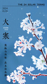 大寒节气海报