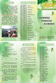 春风行动
