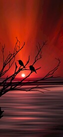 日出日落夕阳西下图片