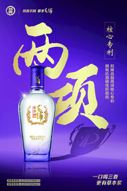 两项核心专利