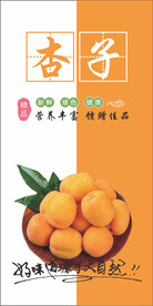 杏子