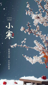 大寒小寒系列海报