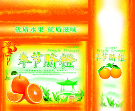甘子包装