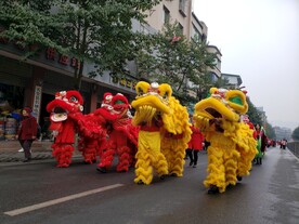 舞狮巡游