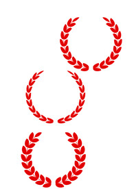 麦穗图案