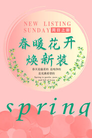 春装上新