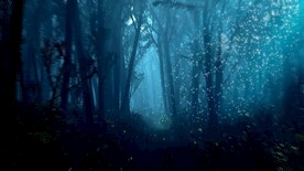 森林自然美景     
