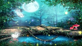 森林自然美景     