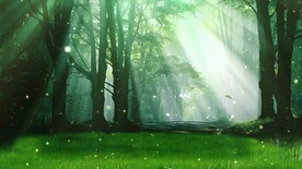 森林自然美景     
