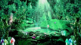 森林自然美景