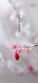 小寒节气微信