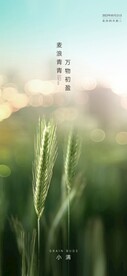小满节气微信