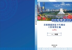 壮族特色工作资料汇编封面