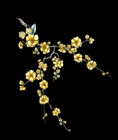 梅花