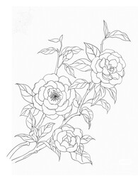 山茶花