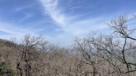 冬季山林