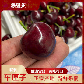 主图  淘宝模版