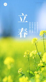 立春油菜花海报
