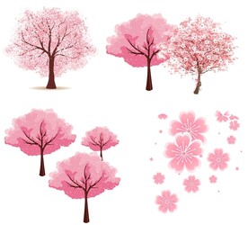 卡通樱花树 花