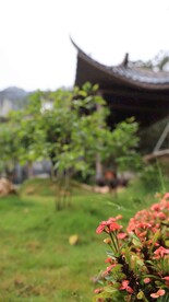 文澜阁 晨雨