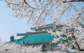 城市建筑图片