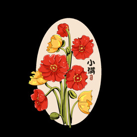 24节气虞美人