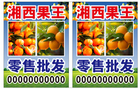 水果批发