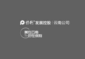 保利发展控股标志