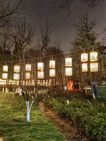 白鹭洲公园夜景花灯