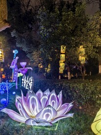 白鹭洲公园夜景灯展