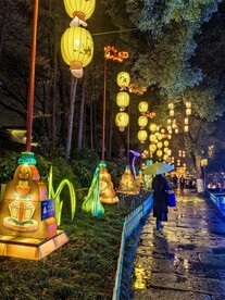 白鹭洲公园夜景花灯