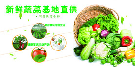 蔬菜基地
