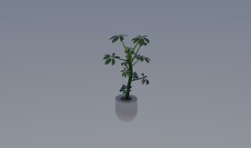 3D家居植物模型