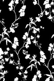 黑白花