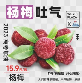 杨梅