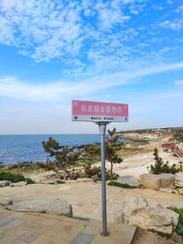 大海